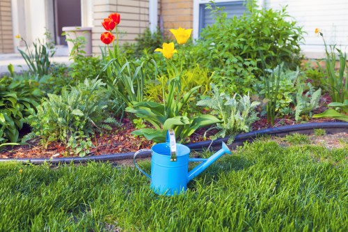 Pruned shrubs and trees in a Kenton backyard