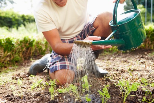 Expert decking installation services by professionals