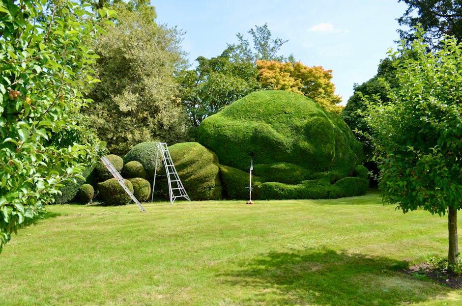 A young man with dark hair, dressed in a blue t-shirt, jeans, and black shoes, is trimming a large, dense, green hedge with a powered hedge trimmer in a well-maintained garden. The hedge has a rounded